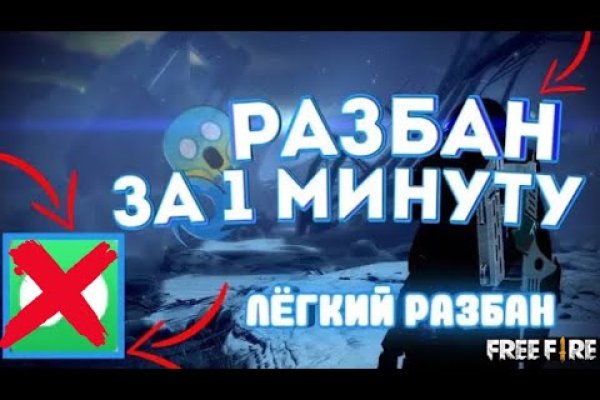 Kraken найдется все