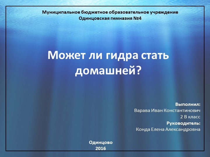 Вывести деньги с кракена